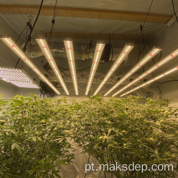 Equipamento de luz de cultivo de LED de segunda mão